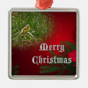 Frohe Weihnachten Weibliche Kardinal Songbird Silbernes Ornament