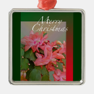 Frohe Weihnachten Weihnachts-Kaktus-Blüten Silbernes Ornament