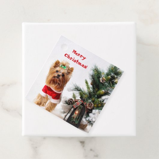 Frohe Weihnachten - Weihnachtslieder mit Weihnacht Geschenkanhänger (Beispiel)