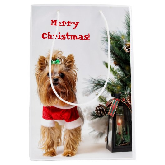 Frohe Weihnachten - Weihnachtslieder mit Weihnacht Mittlere Geschenktüte (Vorderseite)