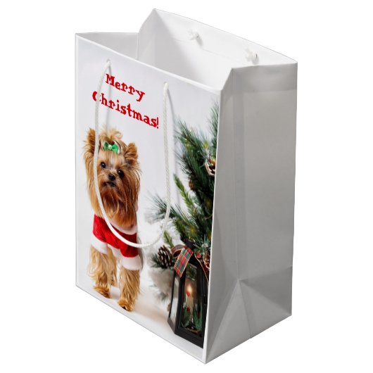 Frohe Weihnachten - Weihnachtslieder mit Weihnacht Mittlere Geschenktüte (Rückseite Schrägansicht)