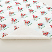 Frohe Weihnachten! Weihnachtsmann mit Katze und Hu Sherpadecke (3/4)