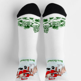 Frohe Weihnachten! Weihnachtsmann mit Katze und Hu Socken