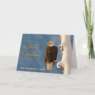 Frohe Weihnachten - Weißkopfseeadler hockte an -
