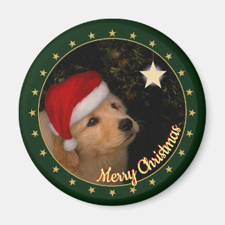 "Frohe Weihnachten" Welpe mit Weihnachtsmannmütze Magnet