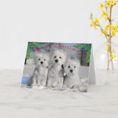 Frohe Weihnachten - Westies im Schnee Karte (Gelbe Blume)