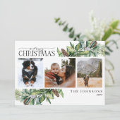 Frohe Weihnachten Winter Fir Cone Grüne Foto Hol (Stehend Vorderseite)