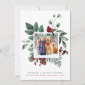 Frohe Weihnachten Winter Roter Kardinal Foto (Vorderseite)