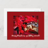 Frohe Weihnachten ya dreckige Tierschildkröte Xmas Postkarte (Vorne/Hinten)