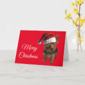 Frohe Weihnachten Yorki Karte (Gelbe Blume)