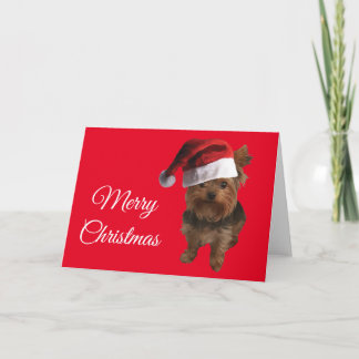 Frohe Weihnachten Yorki Karte