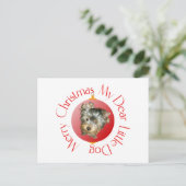 Frohe Weihnachten Yorkshire Terrier (Stehend Vorderseite)