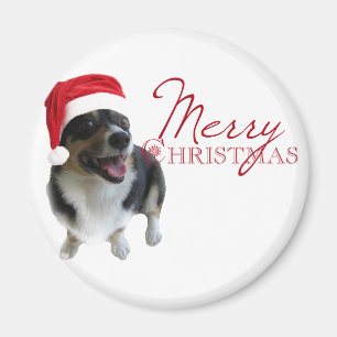 Frohe WeihnachtenCorgi Sankt Magnet