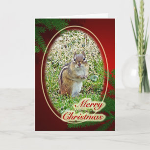 Frohe WeihnachtenostChipmunk Feiertagskarte