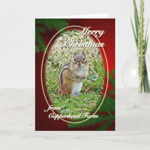 Frohe WeihnachtenostChipmunk für Dolores Feiertagskarte