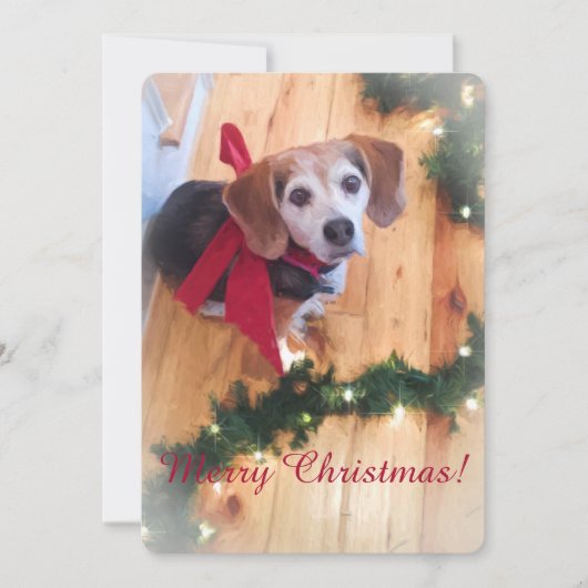 Frohe Weihnachts-Beagle-Flachkarte Feiertagskarte (Vorderseite)