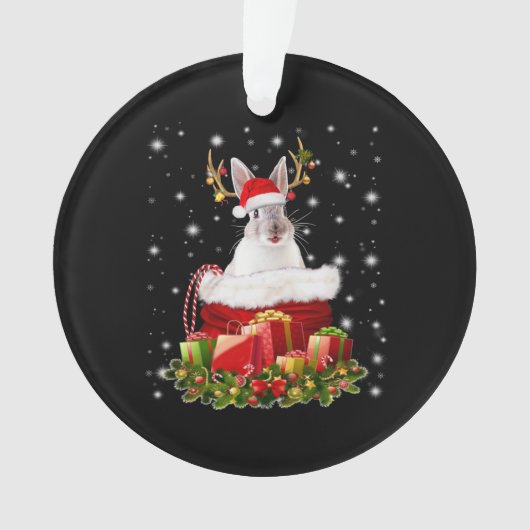 Frohe Weihnachts-Bunny-Geschenk für Bunny Lover Ornament (Vorderseite)