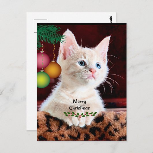 Frohe Weihnachts Cat Ornament Postkarte (Vorne/Hinten)