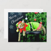 Frohe Weihnachts Cat Postcard Postkarte (Vorne/Hinten)