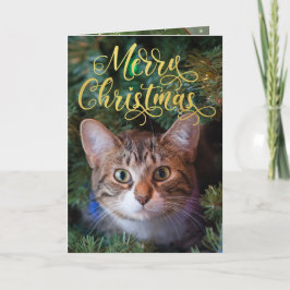 Frohe Weihnachts-Foto Vier-Seiten-Karte Feiertagskarte