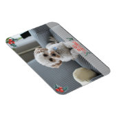 Frohe Weihnachts-Fotokarte von Pet Magnet (Rechte Seite)