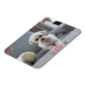 Frohe Weihnachts-Fotokarte von Pet Magnet (Linke Seite)