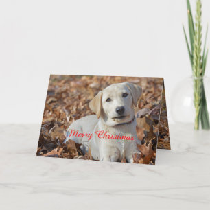Frohe Weihnachts-Gelb Labrador Retriever Feiertagskarte