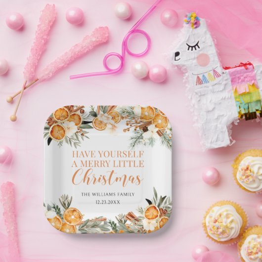 Frohe Weihnachts getrocknete Orangen Papier Napkin Pappteller (Party)