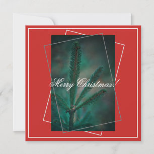 Frohe Weihnachts Grüne Pine Fir Tree Grußkarte Feiertagskarte