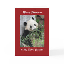 Frohe Weihnachts Grußkarte Panda, rote Grenze