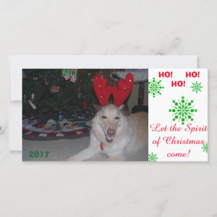 Frohe Weihnachts GSD German Shepherd Card lustig Feiertagskarte