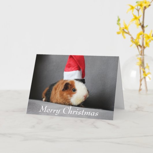 Frohe Weihnachts-Guinea Schweinchen in einer Weihn Karte (Gelbe Blume)