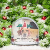 Frohe Weihnachts Haustiere Foto und Familiengewohn Schneekugeln (Weihnachten)