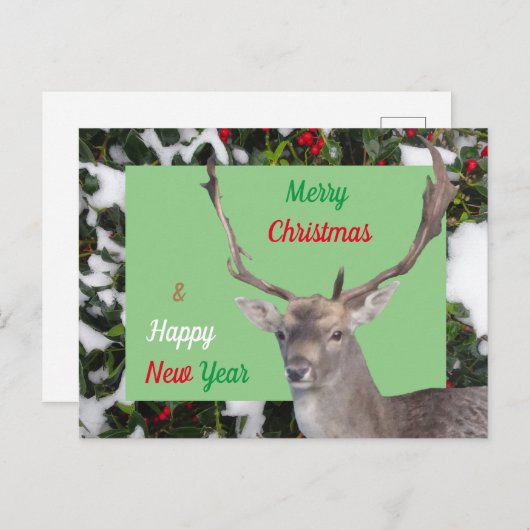 Frohe Weihnachts-Hirsch und Holly Postcard Postkarte (Vorne/Hinten)