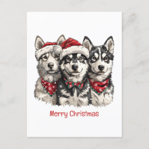 Frohe Weihnachts-Husky-Hunde Feiertagspostkarte