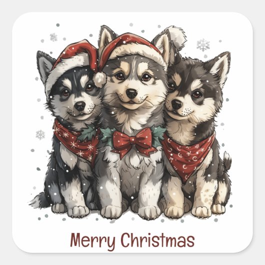 Frohe Weihnachts-Husky-Hunde Quadratischer Aufkleber (Vorderseite)