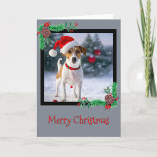 Frohe Weihnachts-Jack Russell Terrier Grußkarte Dankeskarte