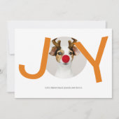 Frohe Weihnachts Joy Orange Foto Card Einladung (Vorderseite)