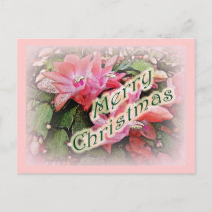 Frohe Weihnachts-Kaktus-Blume Feiertagspostkarte