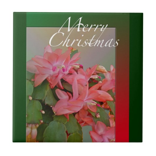 Frohe Weihnachts-Kaktus-Blume Fliese (Vorderseite)