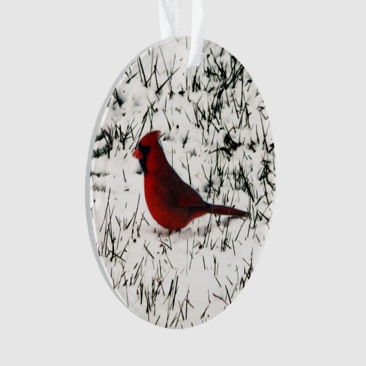 Frohe Weihnachts-Kardinal doppelseitige Printwerbu Ornament (Vorderseite)