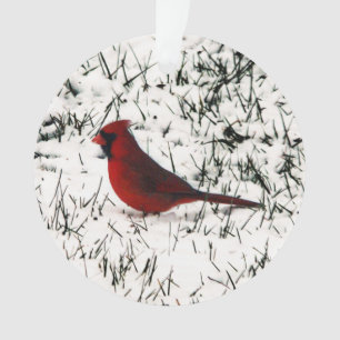 Frohe Weihnachts-Kardinal doppelseitige Printwerbu Ornament