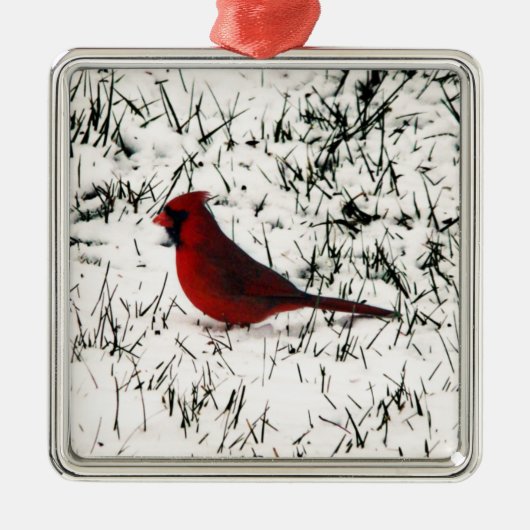 Frohe Weihnachts-Kardinal Ornament Aus Metall (Vorne)