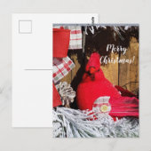 Frohe Weihnachts-Kardinal Postkarte (Vorne/Hinten)