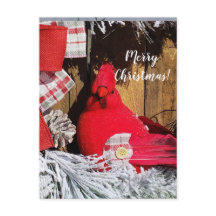 Frohe Weihnachts-Kardinal