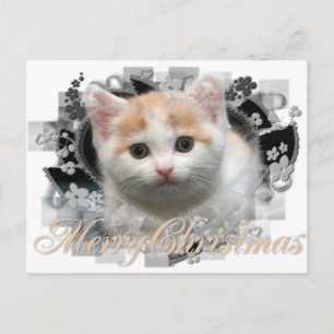 Frohe Weihnachts-Kitten - Urlaubskarten Feiertagspostkarte
