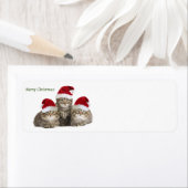 Frohe Weihnachts-Kittens-Kennzeichnung (Insitu)