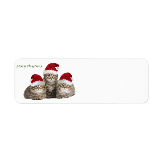 Frohe Weihnachts-Kittens-Kennzeichnung (Vorne)
