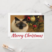 Frohe Weihnachts-Kitty-Postkarte Karte (Vorderseite/Rückseite Beispiel)