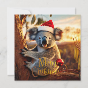 Frohe Weihnachts-Koala in Gumtree Karte
